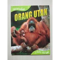 Image of Dunia Satwa : Orang Utan