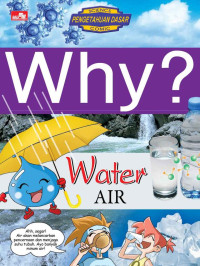 Image of Why? : Air